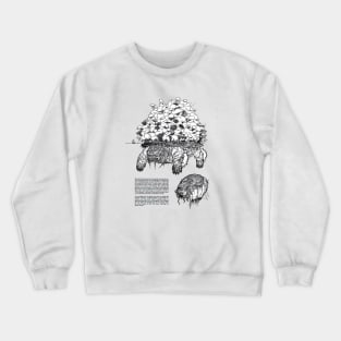 Avatar the last airbender lion turtle avatar aang Crewneck Sweatshirt